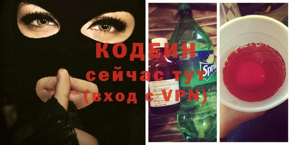 хмурый Дмитров
