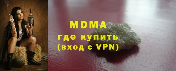 ГАЛЛЮЦИНОГЕННЫЕ ГРИБЫ Дмитриев