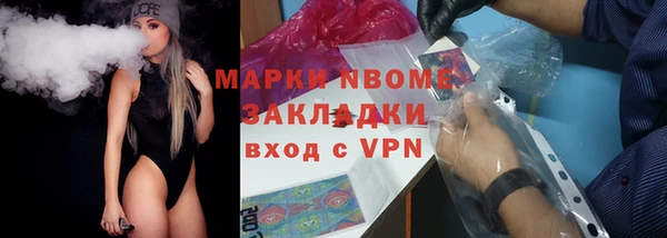 хмурый Дмитров