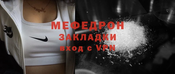ГАЛЛЮЦИНОГЕННЫЕ ГРИБЫ Дмитриев