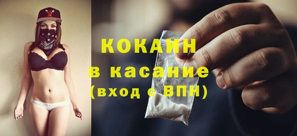 хмурый Дмитров