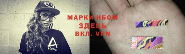 хмурый Дмитров