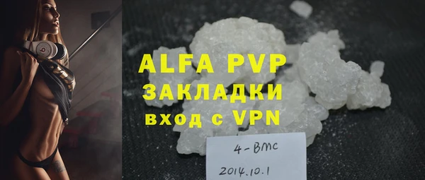 ГАЛЛЮЦИНОГЕННЫЕ ГРИБЫ Дмитриев