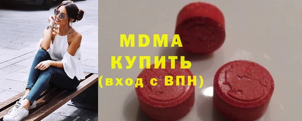 ГАЛЛЮЦИНОГЕННЫЕ ГРИБЫ Дмитриев