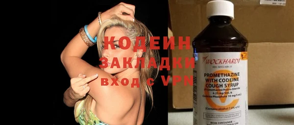 ГАЛЛЮЦИНОГЕННЫЕ ГРИБЫ Дмитриев