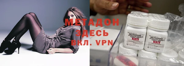 ГАЛЛЮЦИНОГЕННЫЕ ГРИБЫ Дмитриев