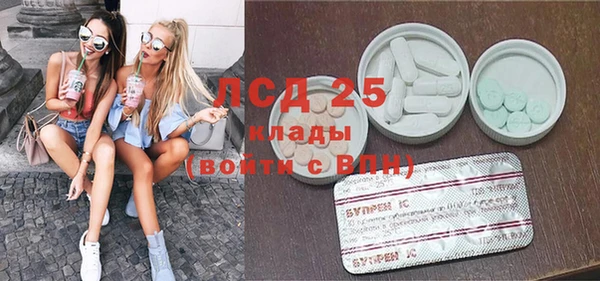 ГАЛЛЮЦИНОГЕННЫЕ ГРИБЫ Дмитриев