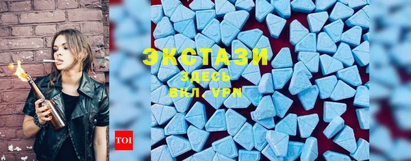 ГАЛЛЮЦИНОГЕННЫЕ ГРИБЫ Дмитриев