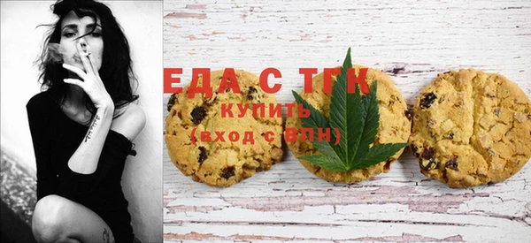 хмурый Дмитров