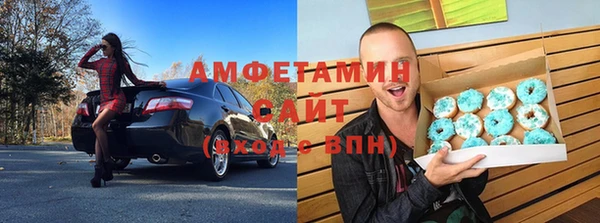 ГАЛЛЮЦИНОГЕННЫЕ ГРИБЫ Дмитриев