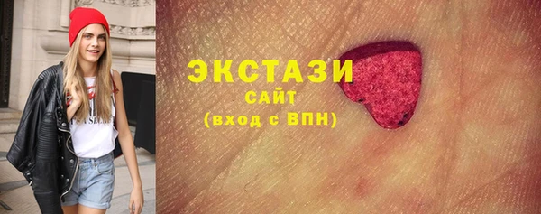 ГАЛЛЮЦИНОГЕННЫЕ ГРИБЫ Дмитриев
