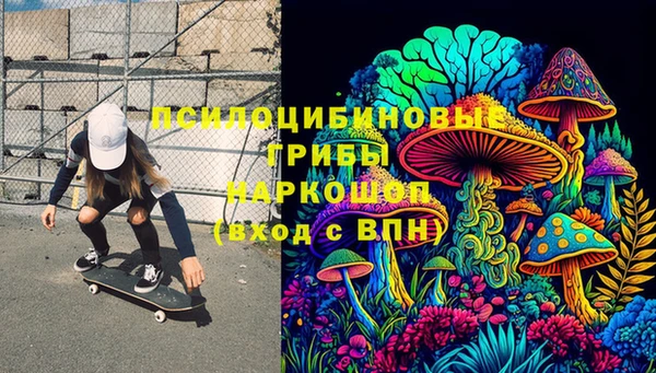 хмурый Дмитров