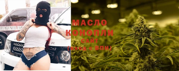 ГАЛЛЮЦИНОГЕННЫЕ ГРИБЫ Дмитриев