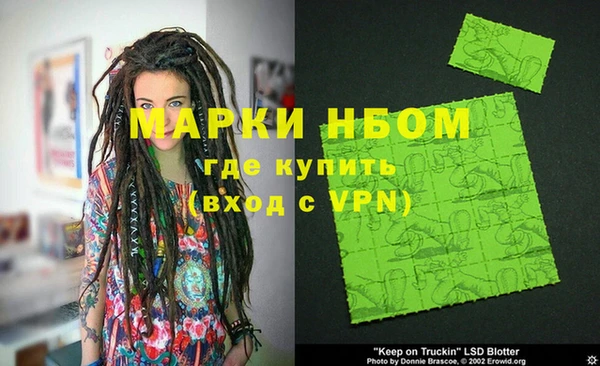 ГАЛЛЮЦИНОГЕННЫЕ ГРИБЫ Дмитриев