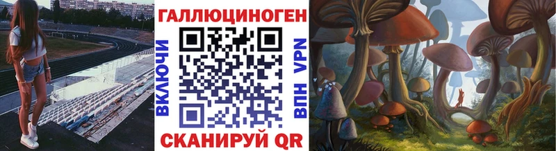 Купить  Тобольск  Псилоцибиновые грибы Psilocybe 